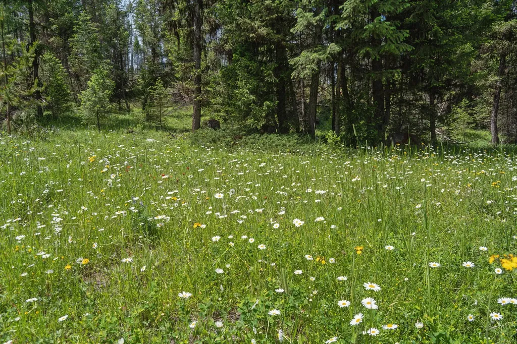 554 Pinkham Road Rexford MT 59930