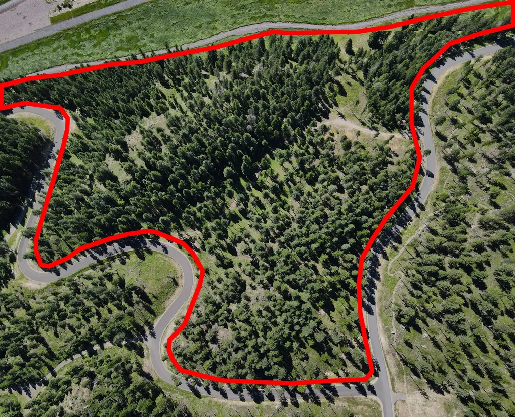 1082 Whitefish Ridge Road Whitefish MT 59937