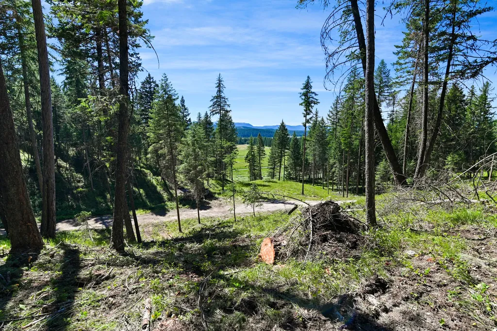 1082 Whitefish Ridge Road Whitefish MT 59937