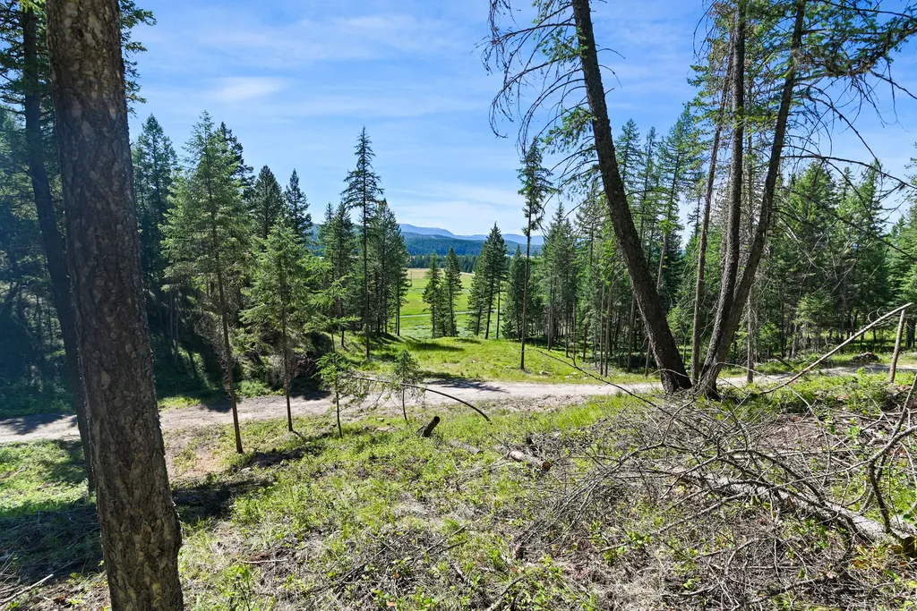 1082 Whitefish Ridge Road Whitefish MT 59937