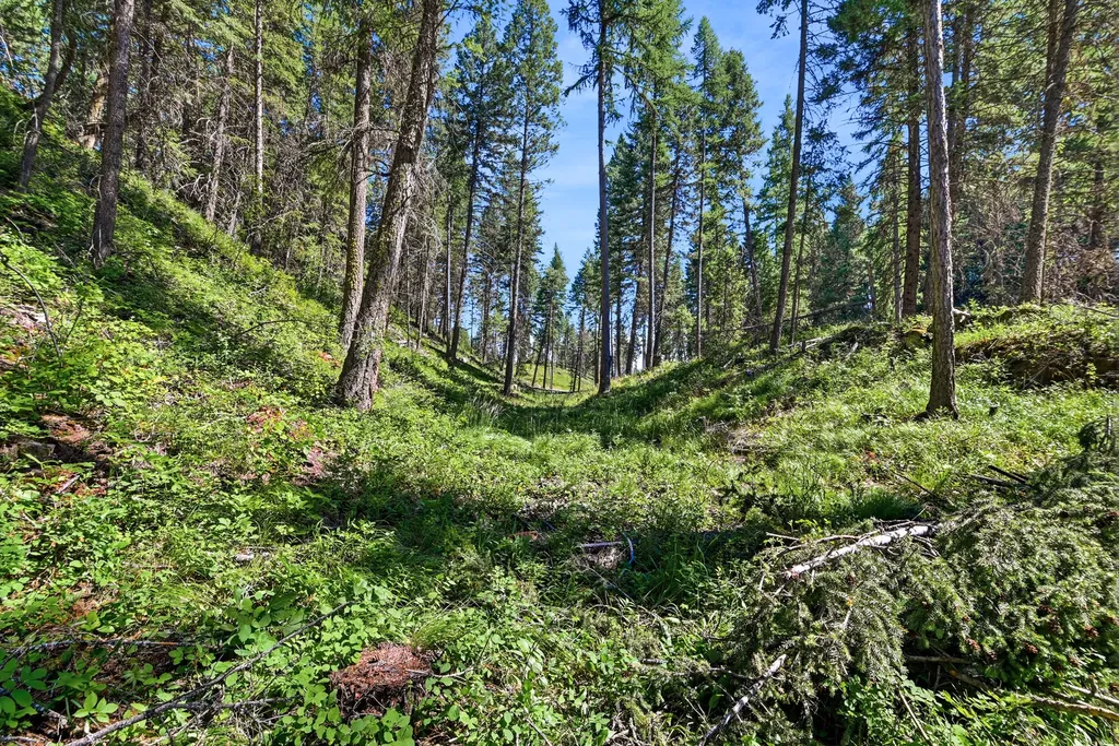 1082 Whitefish Ridge Road Whitefish MT 59937