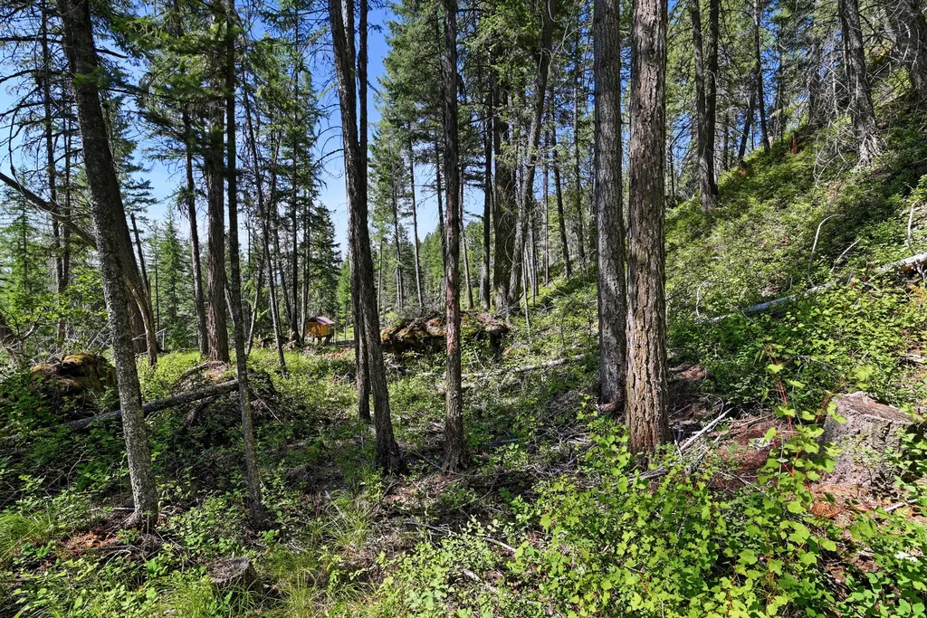 1082 Whitefish Ridge Road Whitefish MT 59937