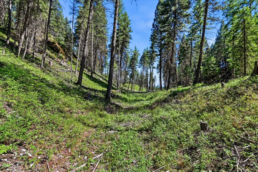 1082 Whitefish Ridge Road Whitefish MT 59937