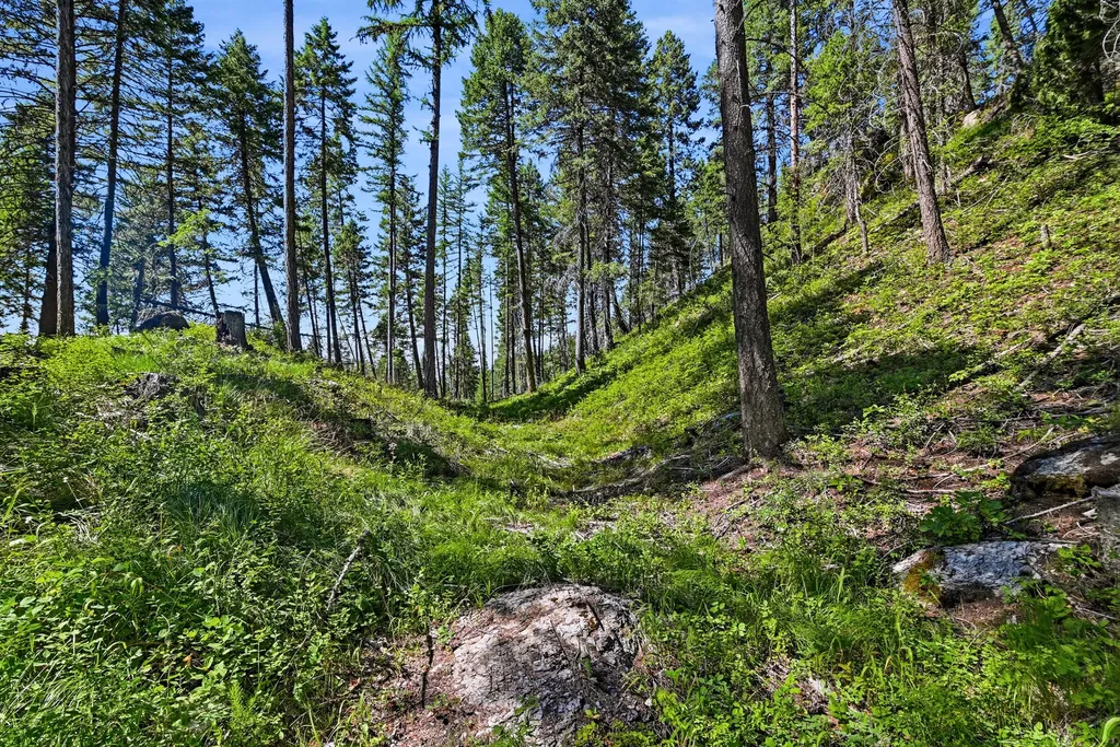 1082 Whitefish Ridge Road Whitefish MT 59937