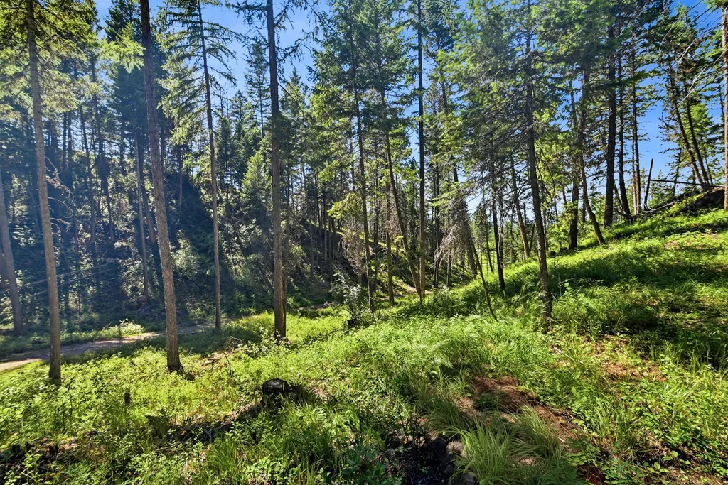 1082 Whitefish Ridge Road Whitefish MT 59937