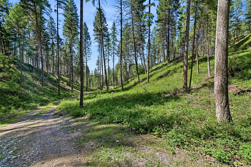 1082 Whitefish Ridge Road Whitefish MT 59937