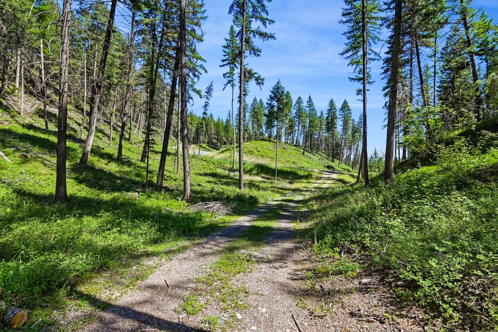1082 Whitefish Ridge Road Whitefish MT 59937