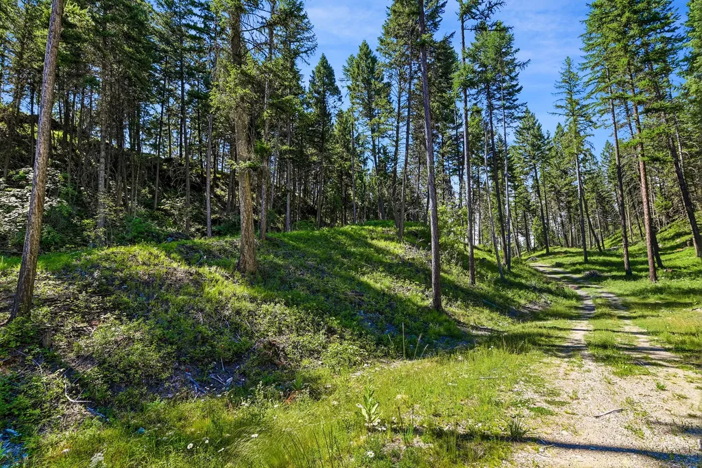 1082 Whitefish Ridge Road Whitefish MT 59937