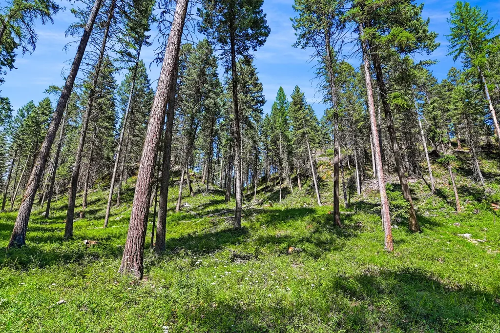 1082 Whitefish Ridge Road Whitefish MT 59937