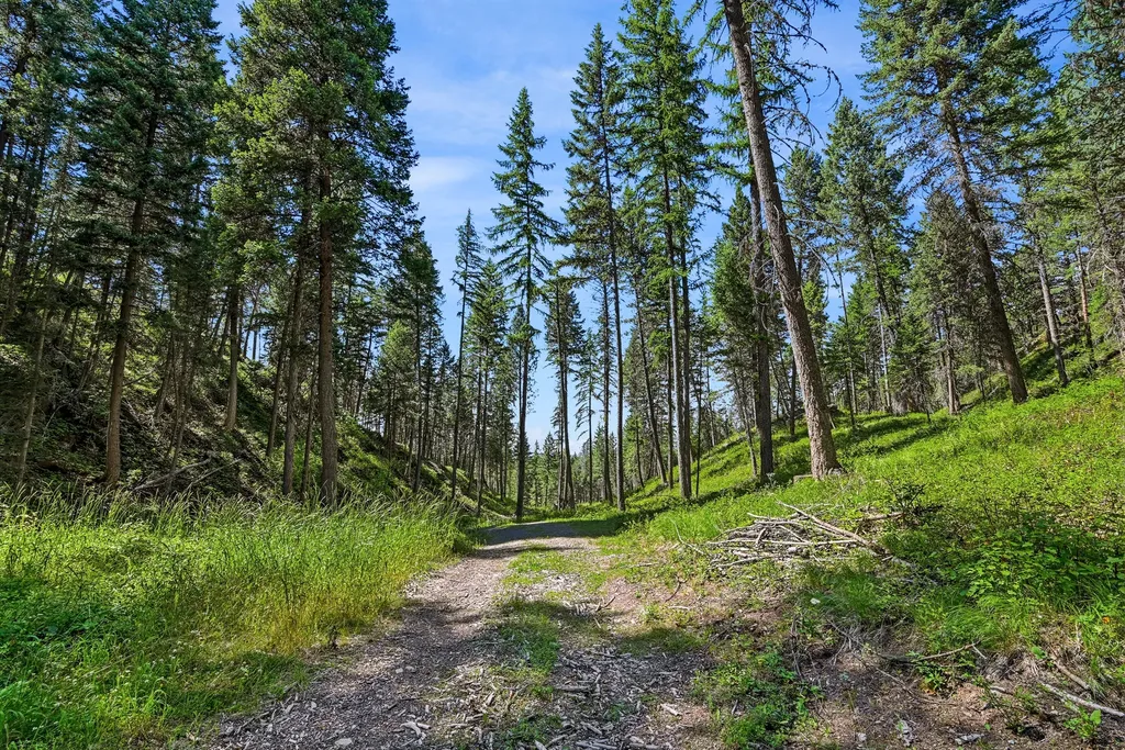 1082 Whitefish Ridge Road Whitefish MT 59937