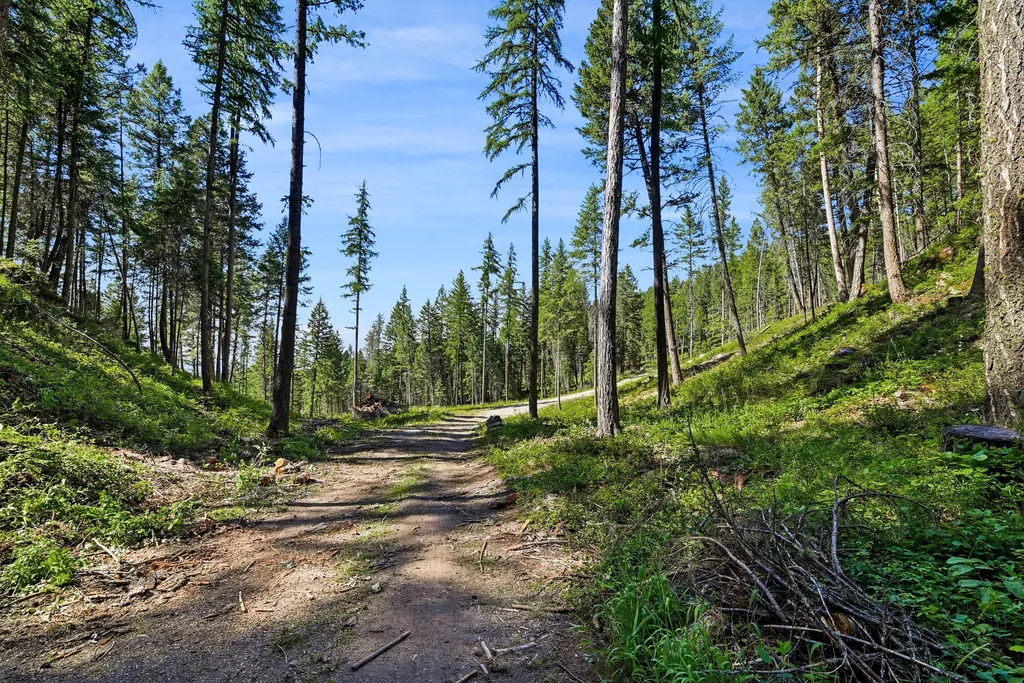 1082 Whitefish Ridge Road Whitefish MT 59937