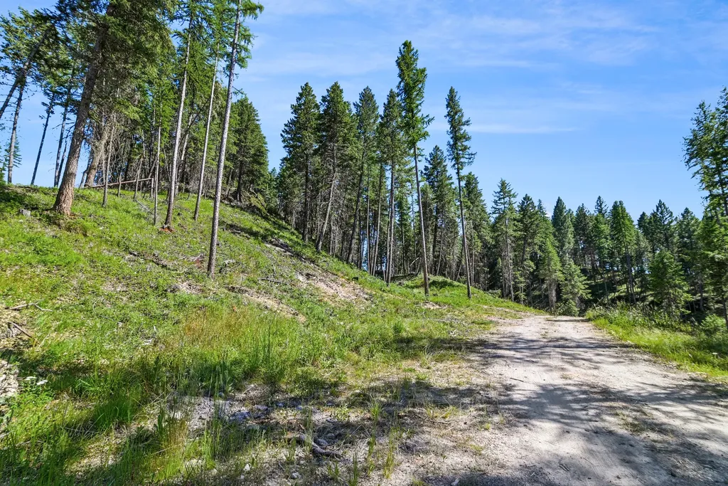 1082 Whitefish Ridge Road Whitefish MT 59937