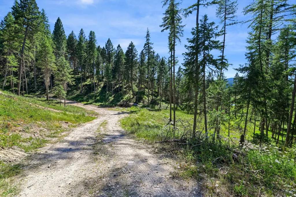 1082 Whitefish Ridge Road Whitefish MT 59937