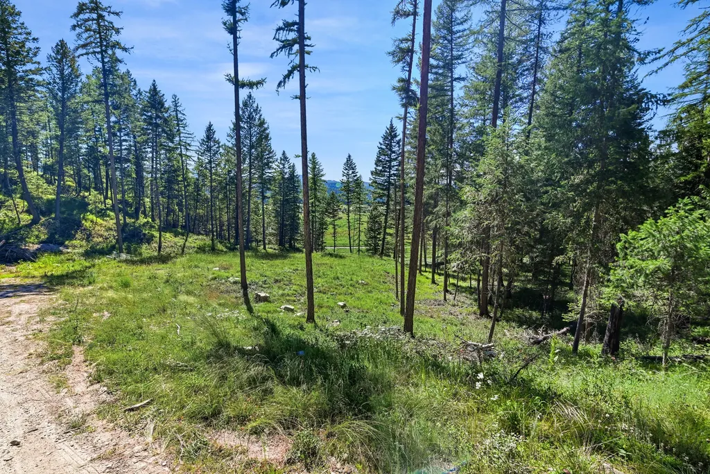 1082 Whitefish Ridge Road Whitefish MT 59937