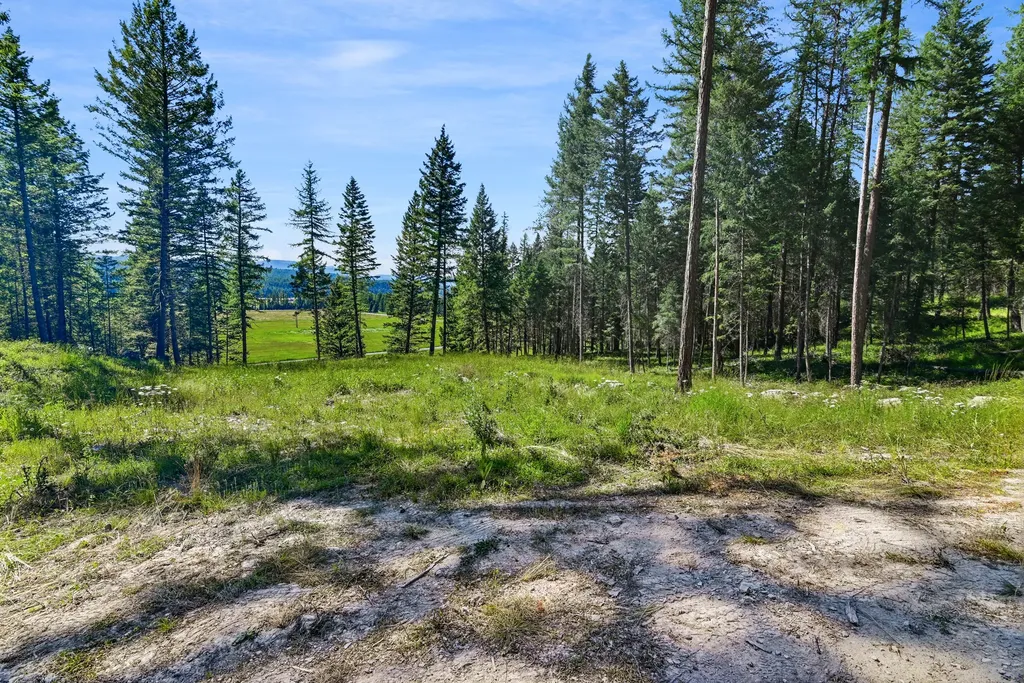1082 Whitefish Ridge Road Whitefish MT 59937