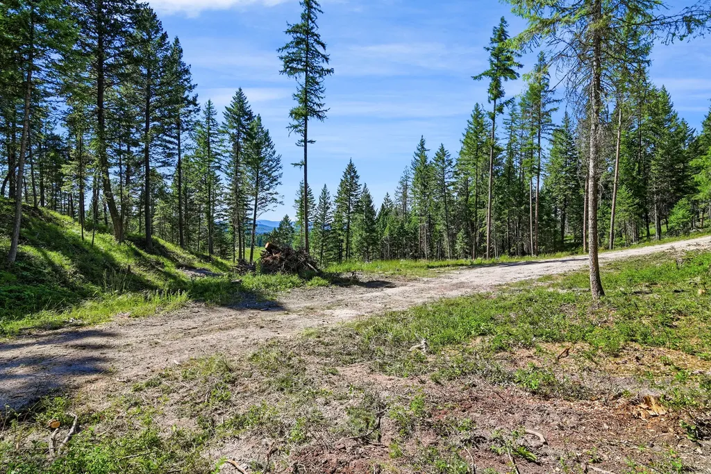 1082 Whitefish Ridge Road Whitefish MT 59937