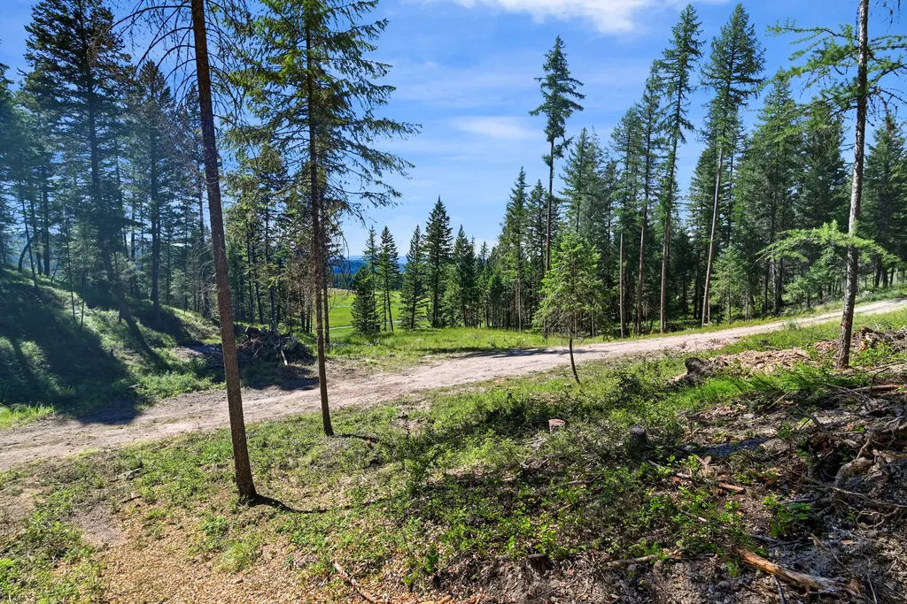 1082 Whitefish Ridge Road Whitefish MT 59937