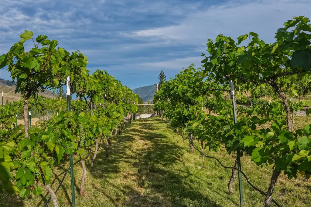 9701 Mt Highway 200 Dixon MT 59831