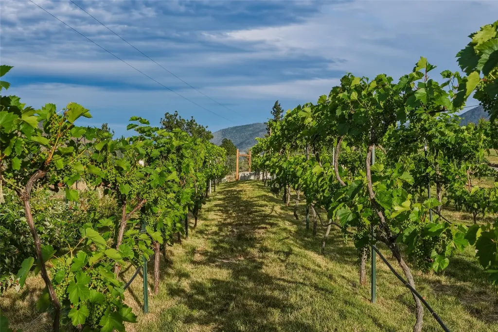 9701 Mt Highway 200 Dixon MT 59831