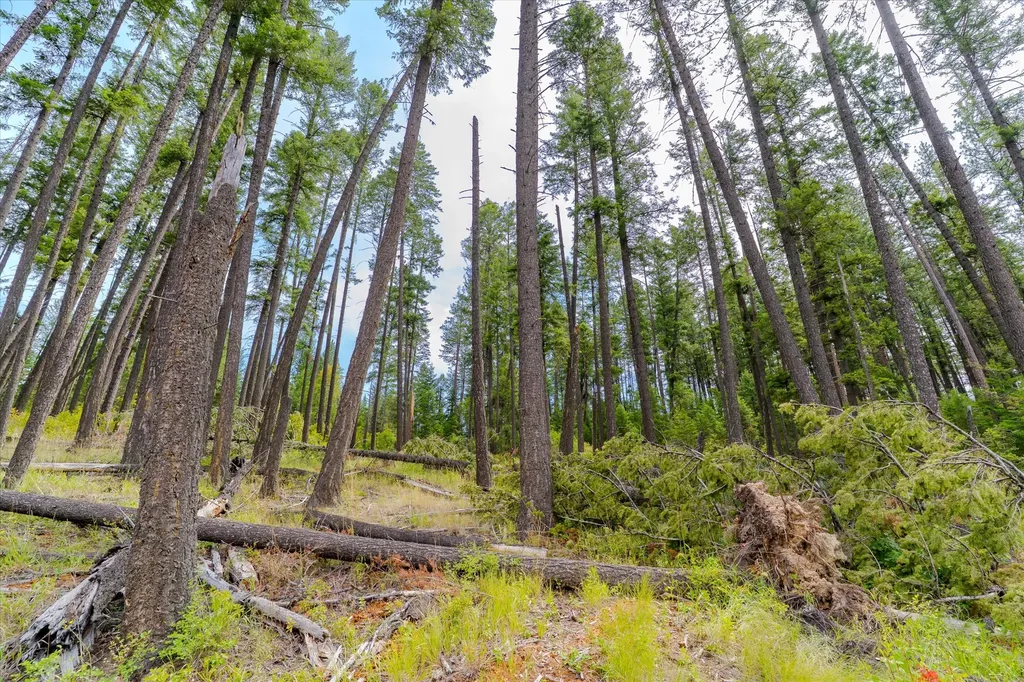 1448 Kilbrennan Road Troy MT 59935