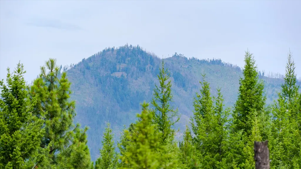 1448 Kilbrennan Road Troy MT 59935