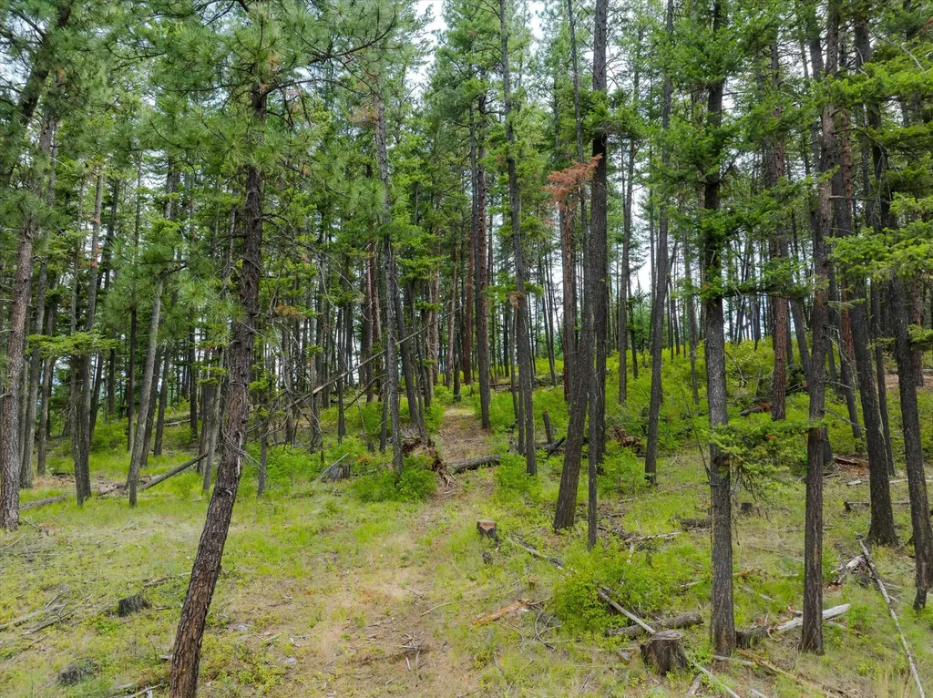1448 Kilbrennan Road Troy MT 59935