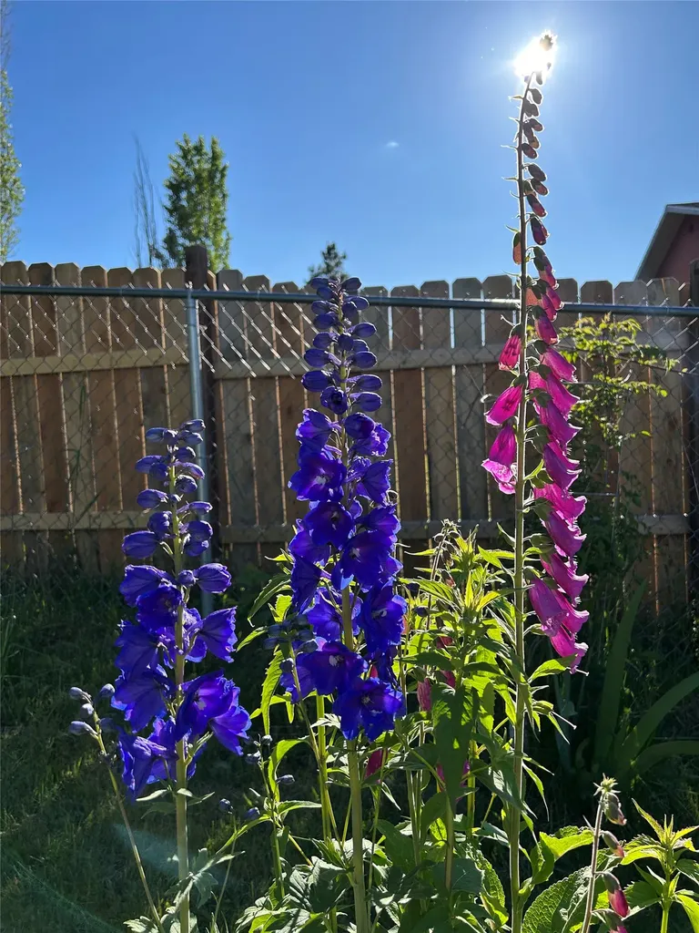 305 19th Avenue W Polson MT 59860