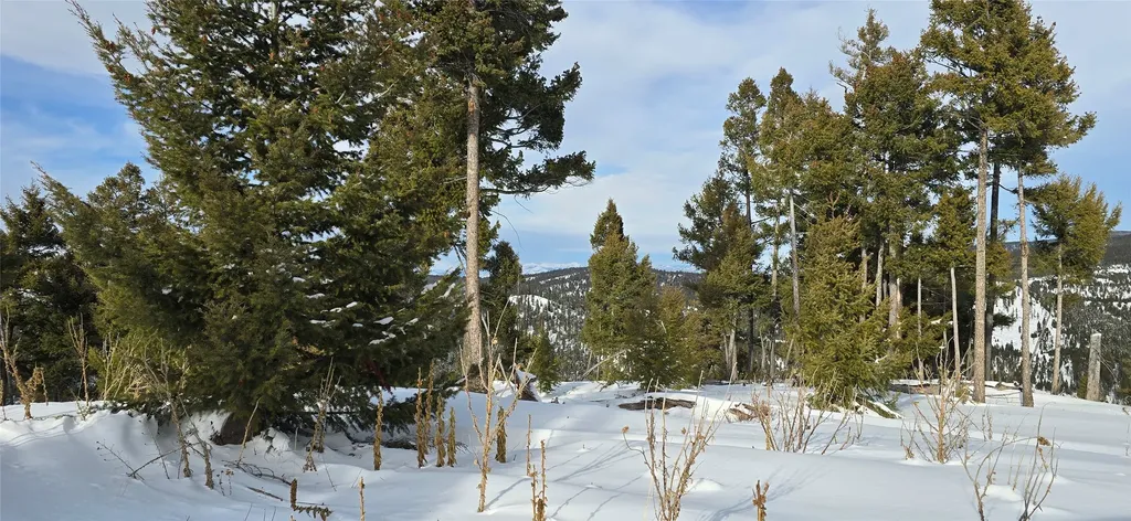 13 Tract, Garnet Range Drummond MT 59832