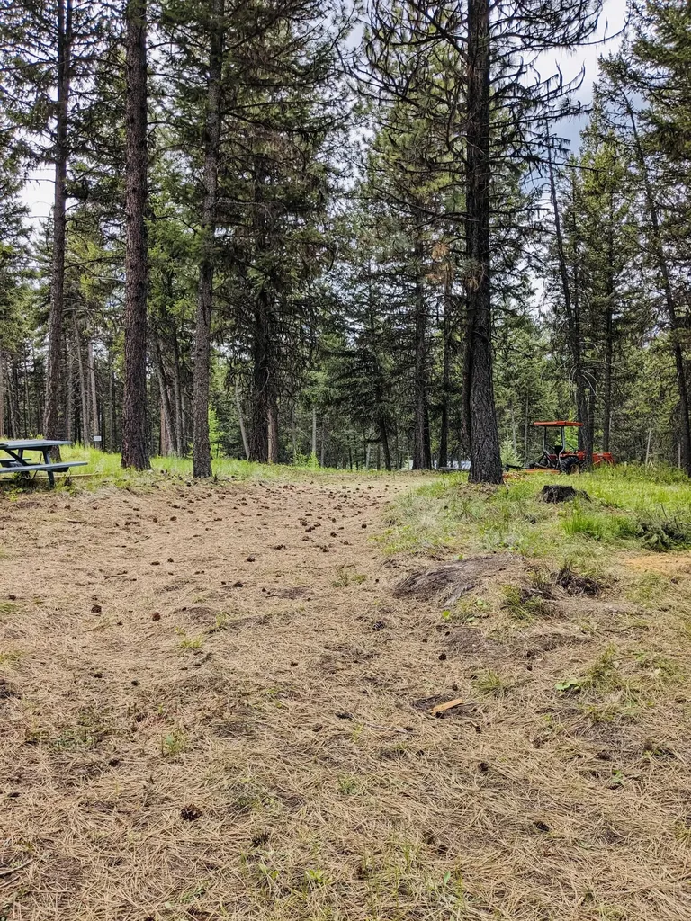 242 Beach Drive Libby MT 59923