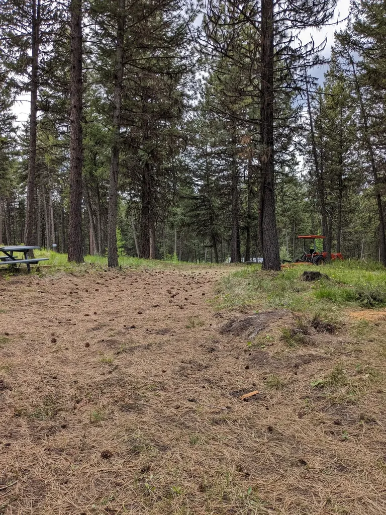 242 Beach Drive Libby MT 59923