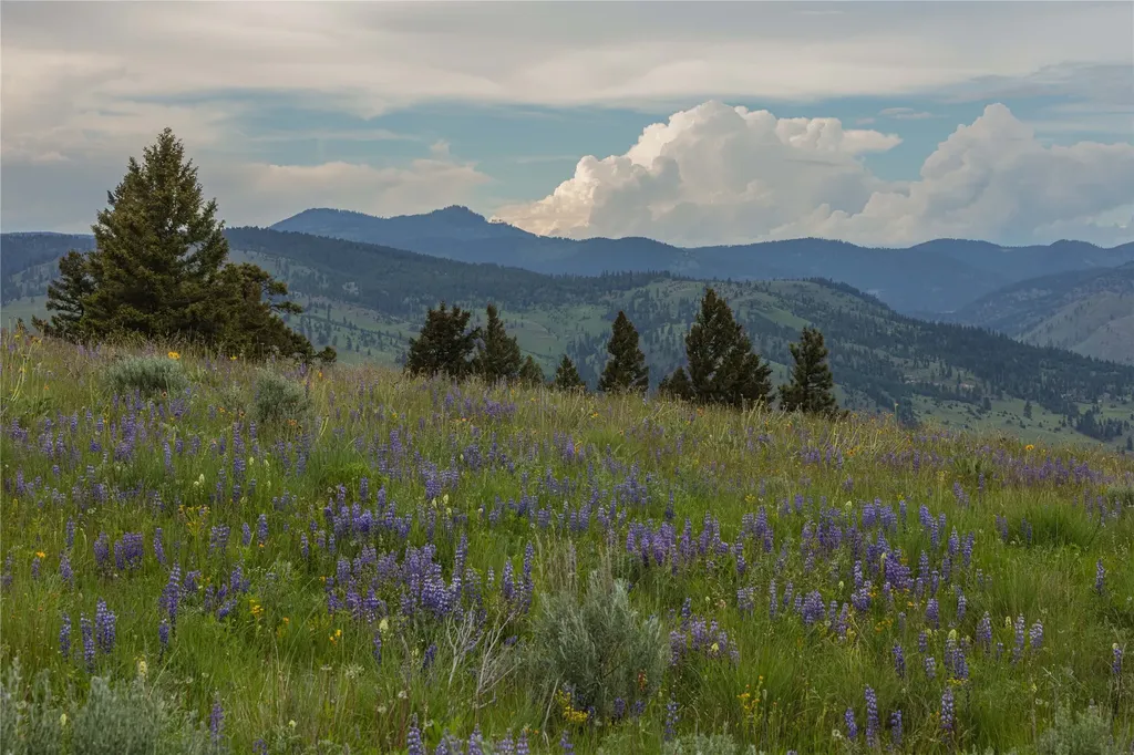 3 Tract, Bull Elk Drummond MT 59832
