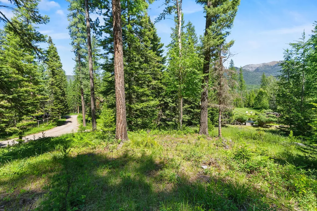 500 Wild Swan Trail Bigfork MT 59911