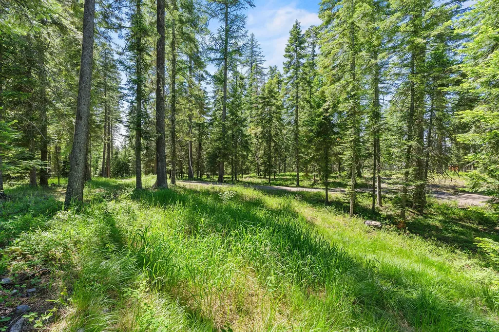 500 Wild Swan Trail Bigfork MT 59911