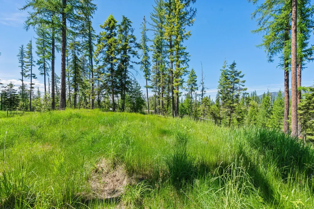 500 Wild Swan Trail Bigfork MT 59911