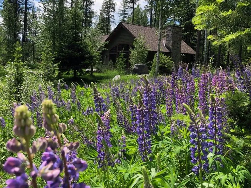 500 Wild Swan Trail Bigfork MT 59911