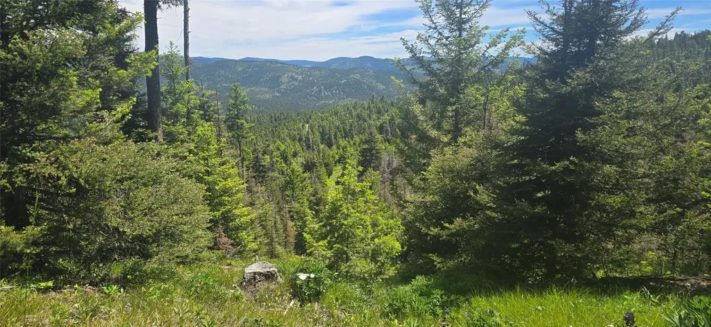 9 Tract, Garnet Range Drummond MT 59832