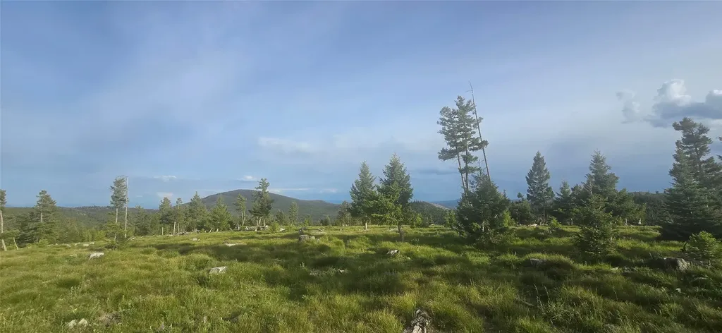 9 Tract, Garnet Range Drummond MT 59832