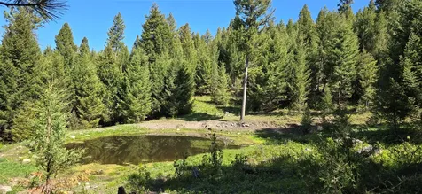 4 Tract, Bull Elk Drummond MT 59832