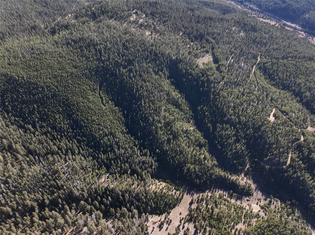 Lot 7 Ruby Mine Road Butte MT 59701