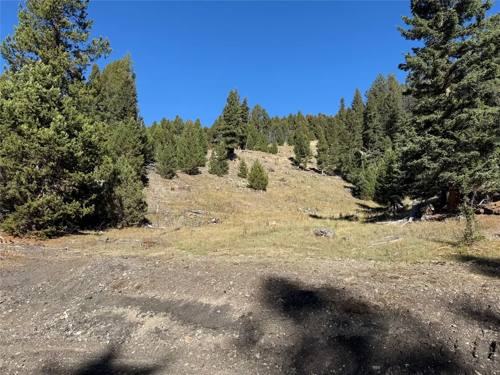 Lot 7 Ruby Mine Road Butte MT 59701