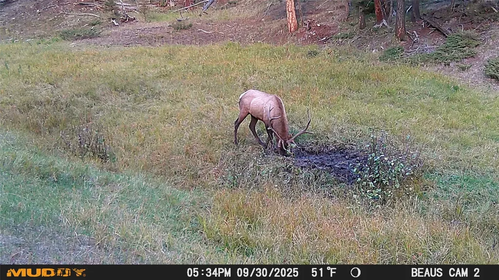 Lot 7 Ruby Mine Road Butte MT 59701