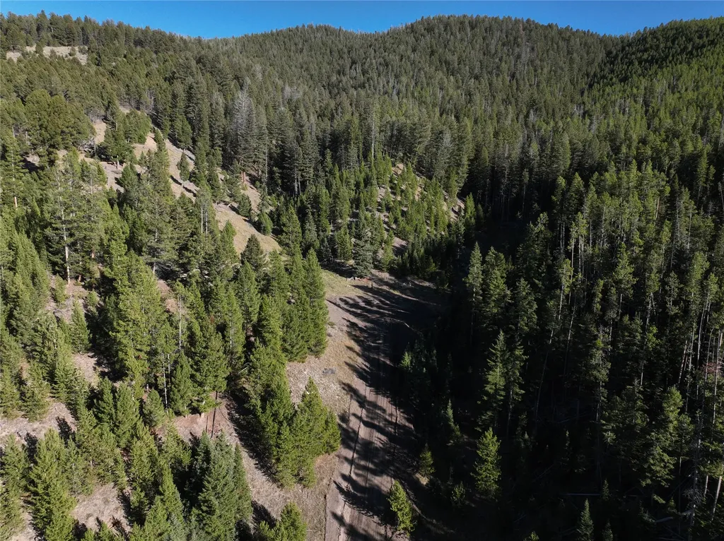 Lot 7 Ruby Mine Road Butte MT 59701