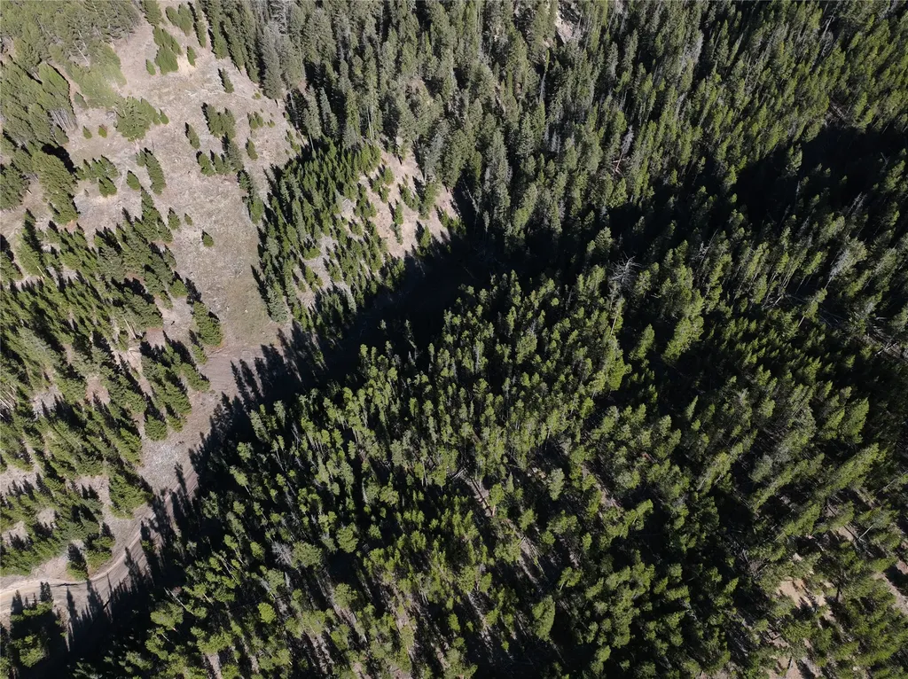 Lot 7 Ruby Mine Road Butte MT 59701
