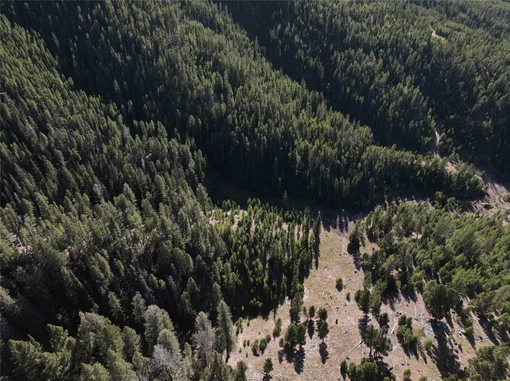 Lot 7 Ruby Mine Road Butte MT 59701