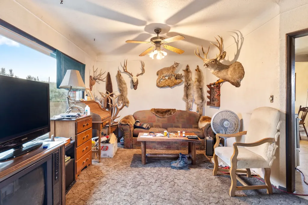 10 Chesapeake Drive Livingston MT 59047