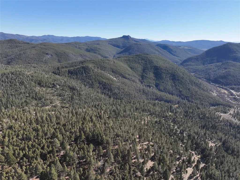 Lot 8 Ruby Mine Road Butte MT 59701