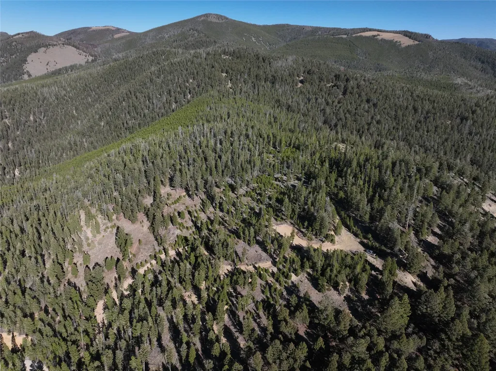 Lot 8 Ruby Mine Road Butte MT 59701