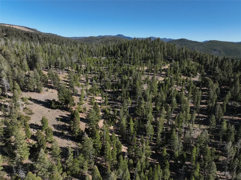 Lot 8 Ruby Mine Road Butte MT 59701