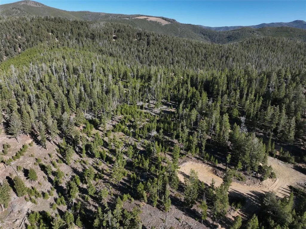 Lot 8 Ruby Mine Road Butte MT 59701