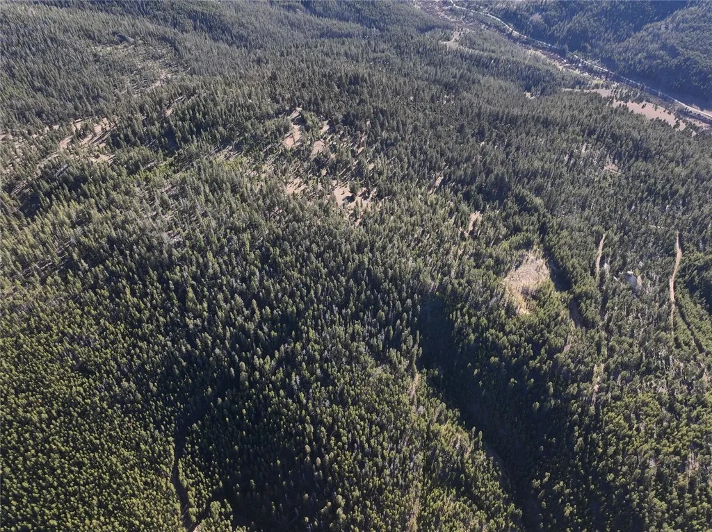 Lot 8 Ruby Mine Road Butte MT 59701